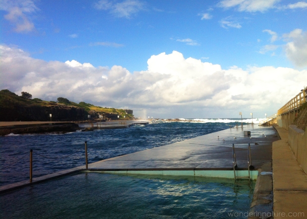 Clovelly pools: a popular spot for swimming & local night dives.