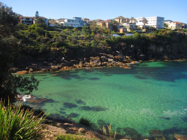 The Underwater Nature Trail at Gordon's Bay is a highlight for snorkelers