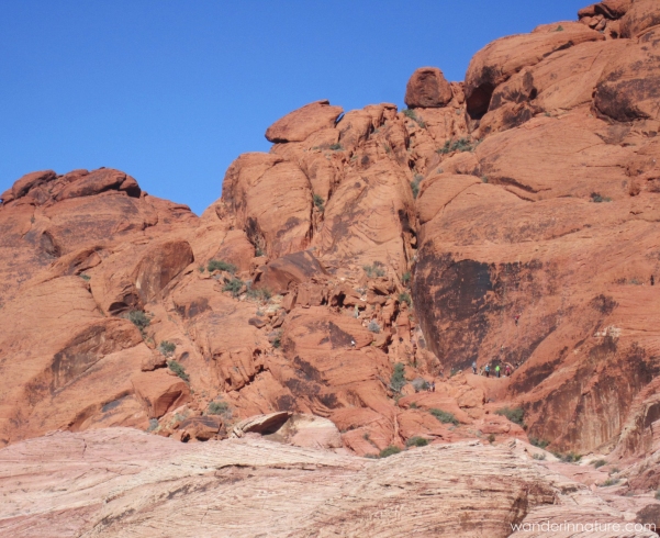 Red Rock climbers 
